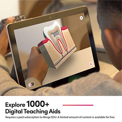 MERGE-Cube-Cubo-di-Realta-Aumentata-STEM-Toy-Giochi-educativi-per-lapprendimento-di-scienze-matematica-arte-e-altro-ancora-in-aula-e-a-casa-EU-edition-0-2